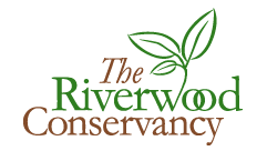 The Riverwood Conservancy Logo